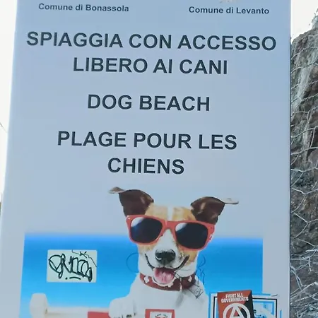 Mare Blu *